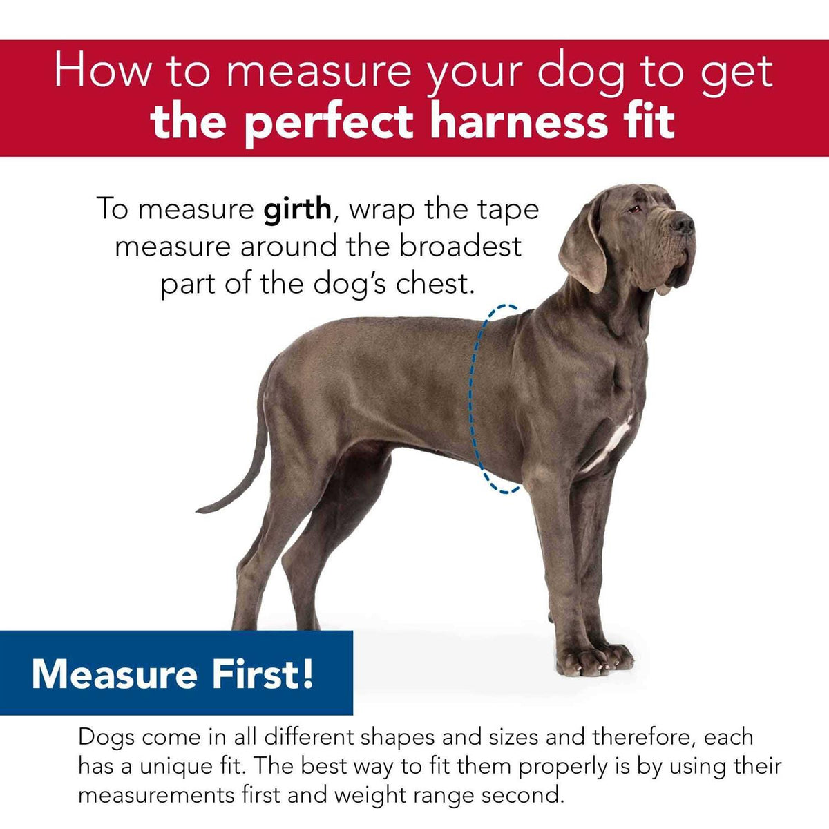 Canvas Dog Harness D257