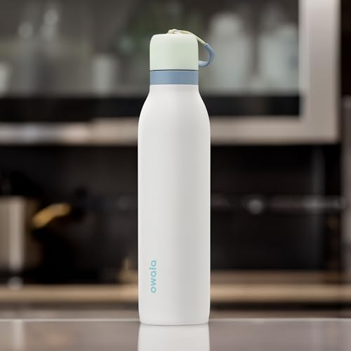 24-oz Insulated Stainless Steel Water Bottle U334047