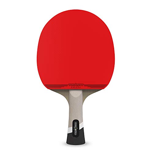 Carbon Fiber Ping Pong Paddle 2-Pack Q257147