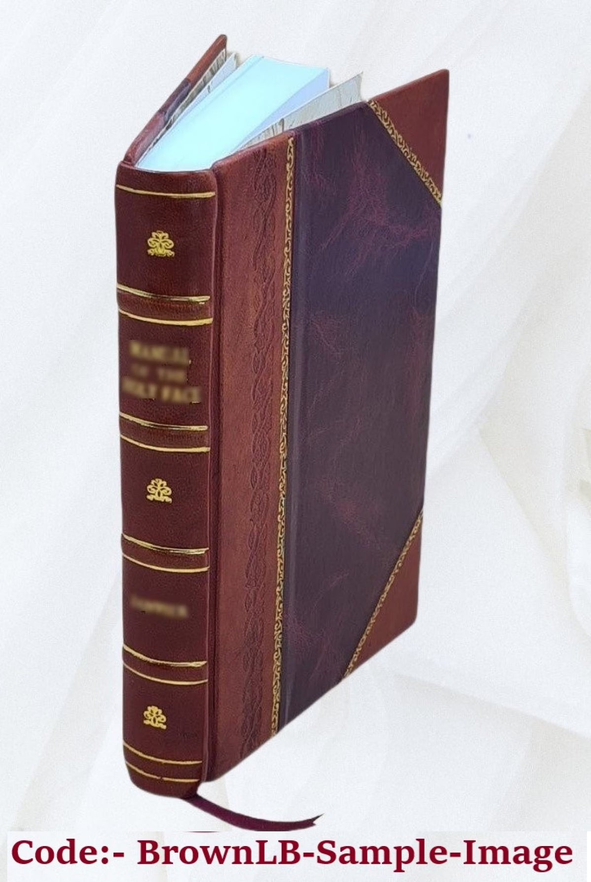 Leather Bound Book O17018