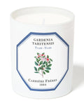 Tiare Candle W5746