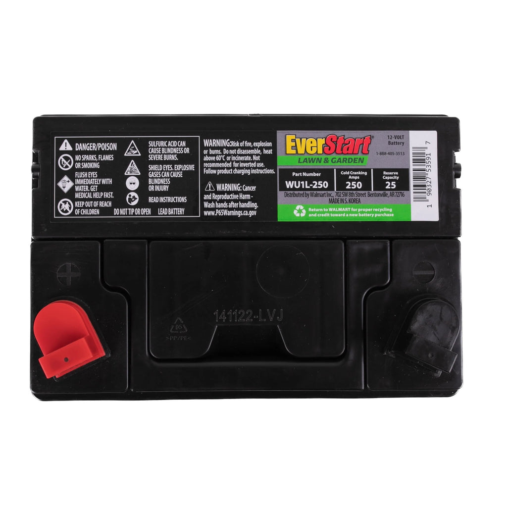 12 Volt 250 CCA Lead Acid Lawn and Garden Battery Z241