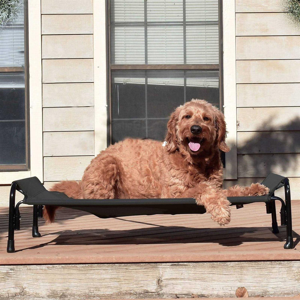 Elevated Dog Bed with Washable Mesh Z1979