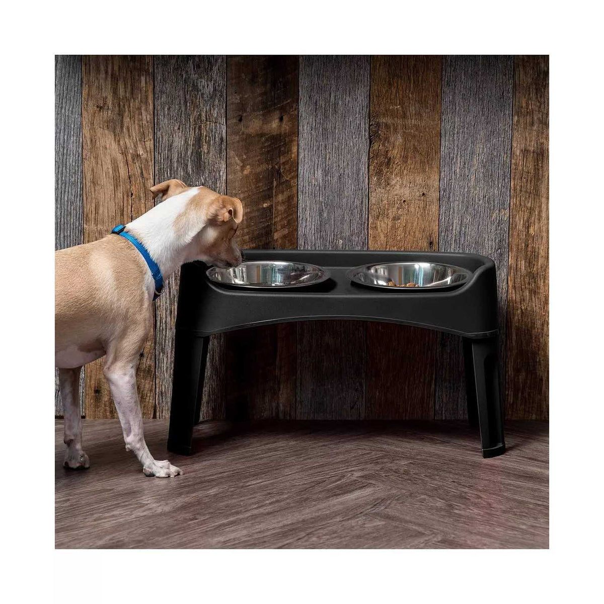 12 inch Elevated Dog Bowls with 2 Qt Stainless Steel Bowls W763