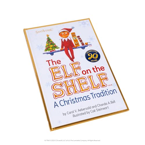 Boy with Blue Eyes Posable Christmas Elf and Storybook P803