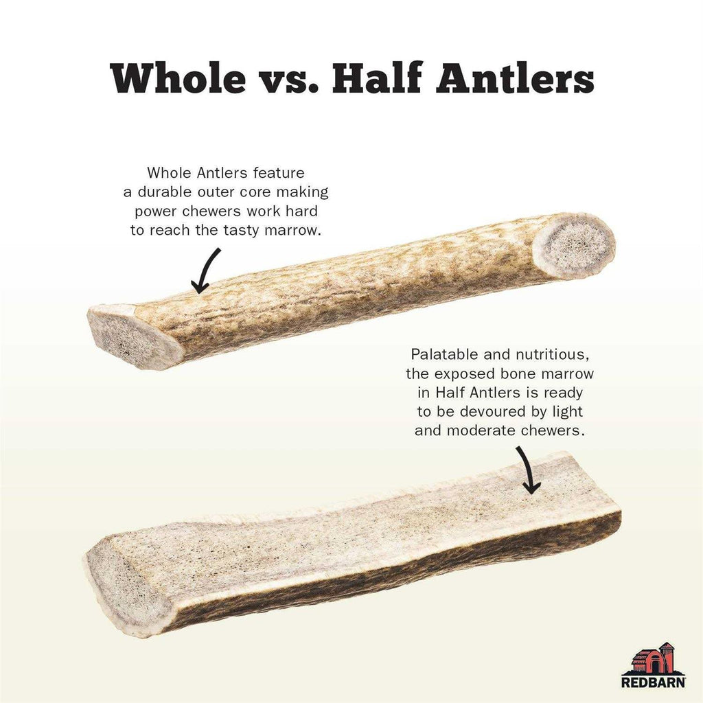 Deer Antler Pet Supplies R2482