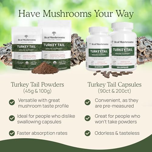 Organic Turkey Tail Mushroom Powder, 100 Servings K28952