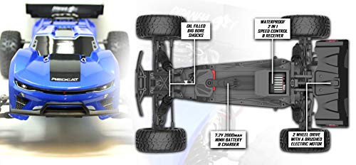 Blue Truggy U24128