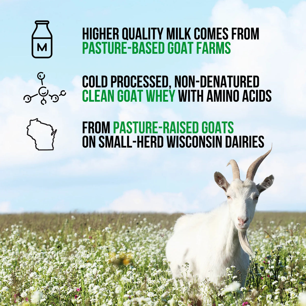 Pasture Fed Goat Whey Protein Powder 2lb G643