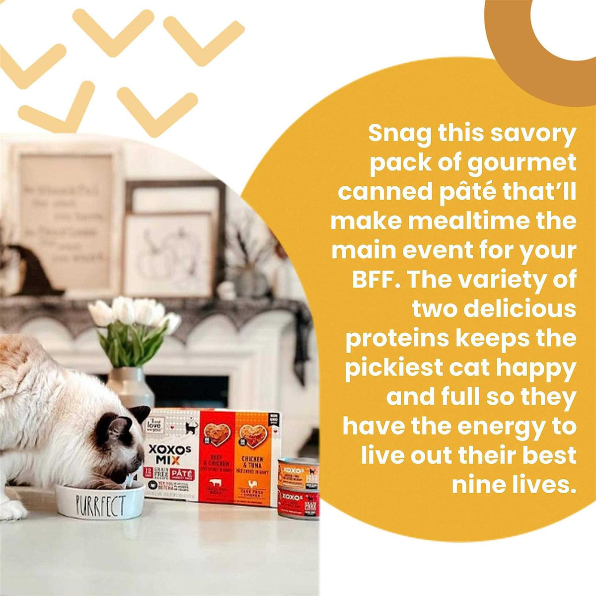 Tuna Pate Cat Food Z2179