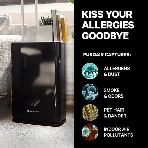 HEPA Air Purifiers for Home Large Rooms E4129