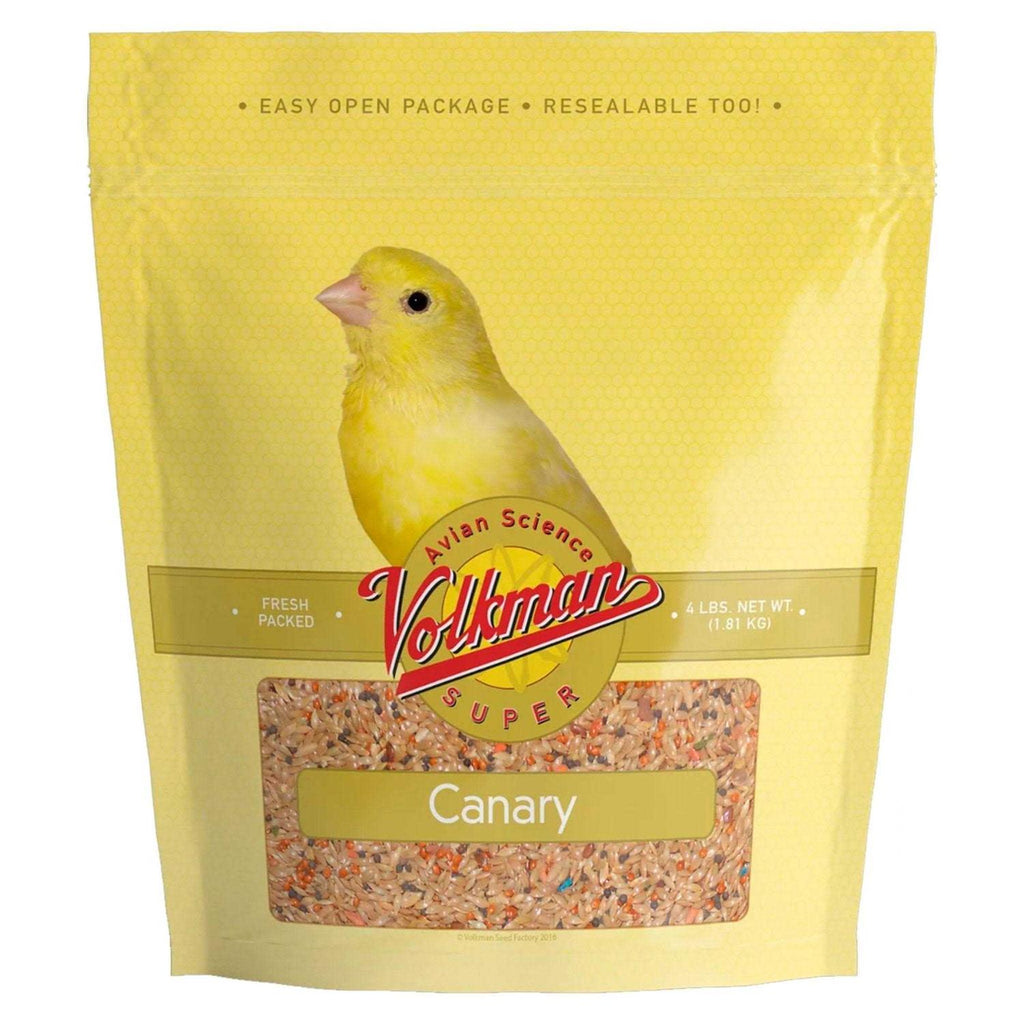 Canary Seed T6446