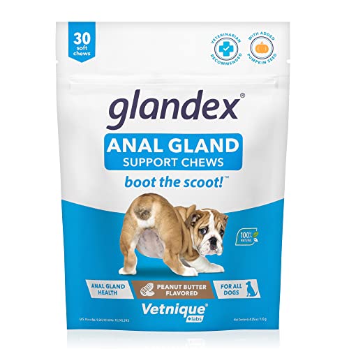 Peanut Butter Soft Chew Treats with Pumpkin for Dogs, 30ct W78653