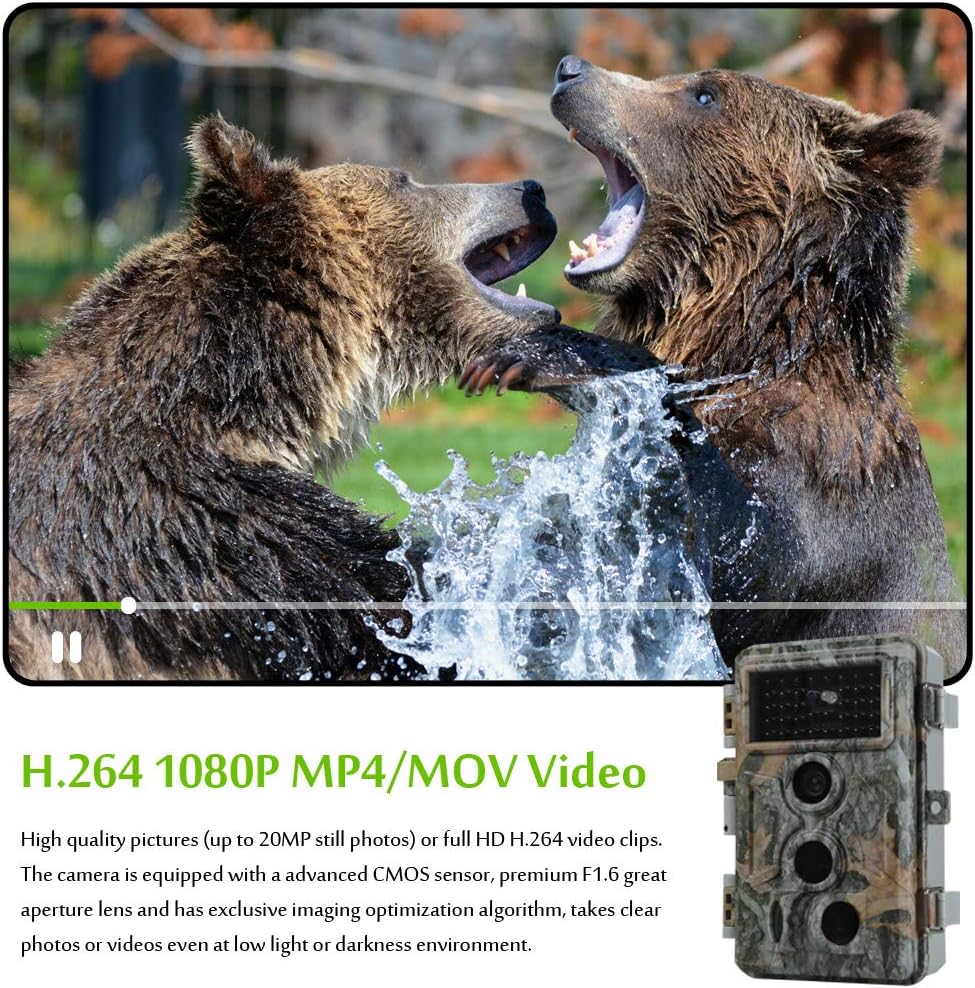 20MP 1080P Night Vision Motion Detection IP66 Waterproof Trail & Hunting Camera Pack of 2 P809587
