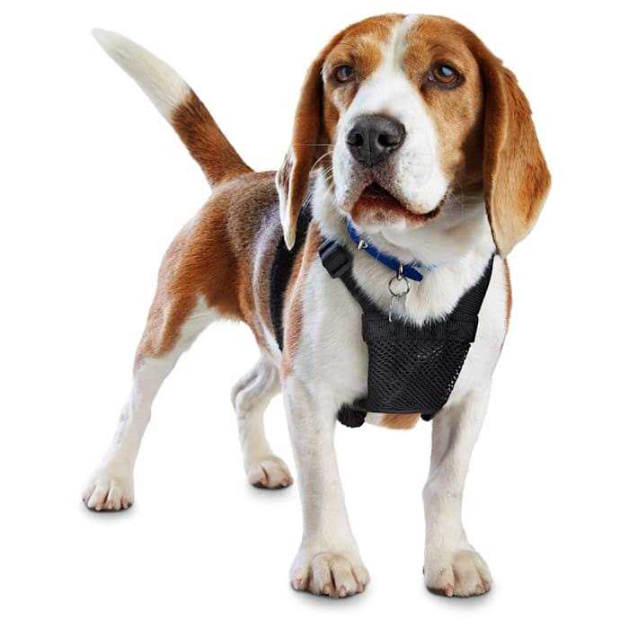 Black No Pull Dog Harness I24493