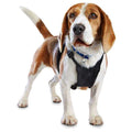 Black No Pull Dog Harness I24493