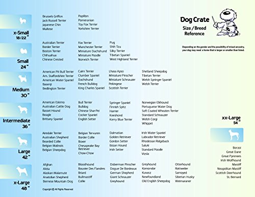 Single & Double Door Dog Crate with Leak-Proof Pan J269