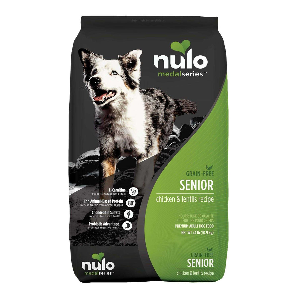 Senior Dry Dog Food S397