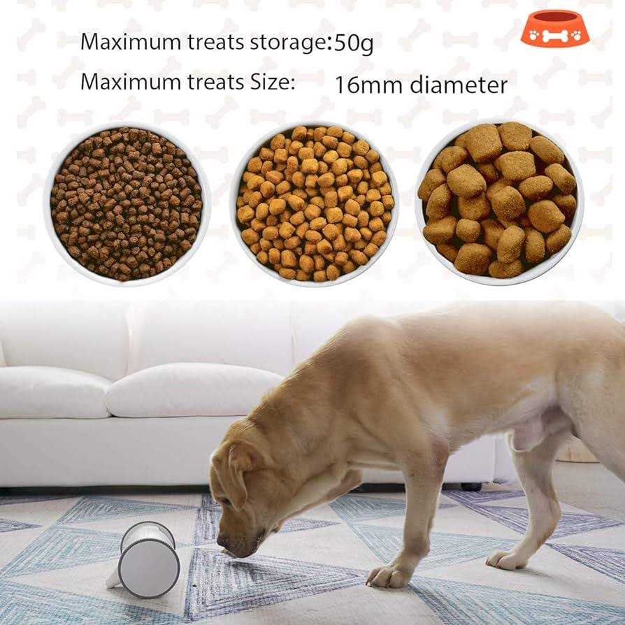 Full HD Pet Camera with Treat Dispenser X9417