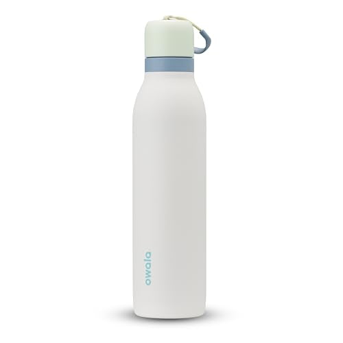 24-oz Insulated Stainless Steel Water Bottle U334047