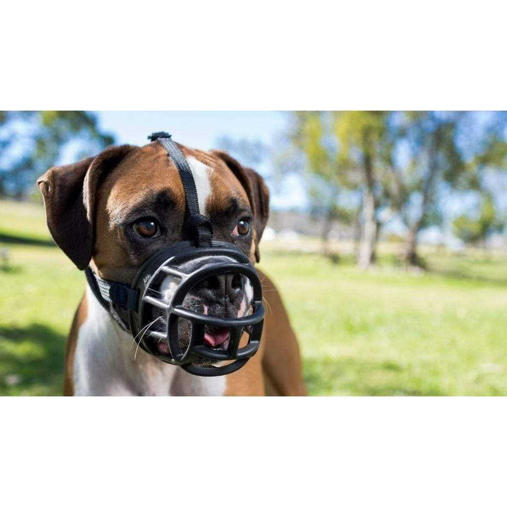 Dog Muzzle C335