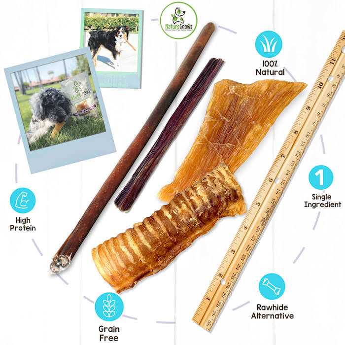 Natural Dog Chews Variety Pack P2179