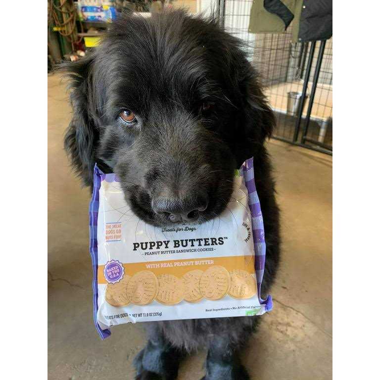 Peanut Butter Dog Treats O98376