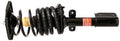 Rear Driver Left Strut and Coil Spring E591