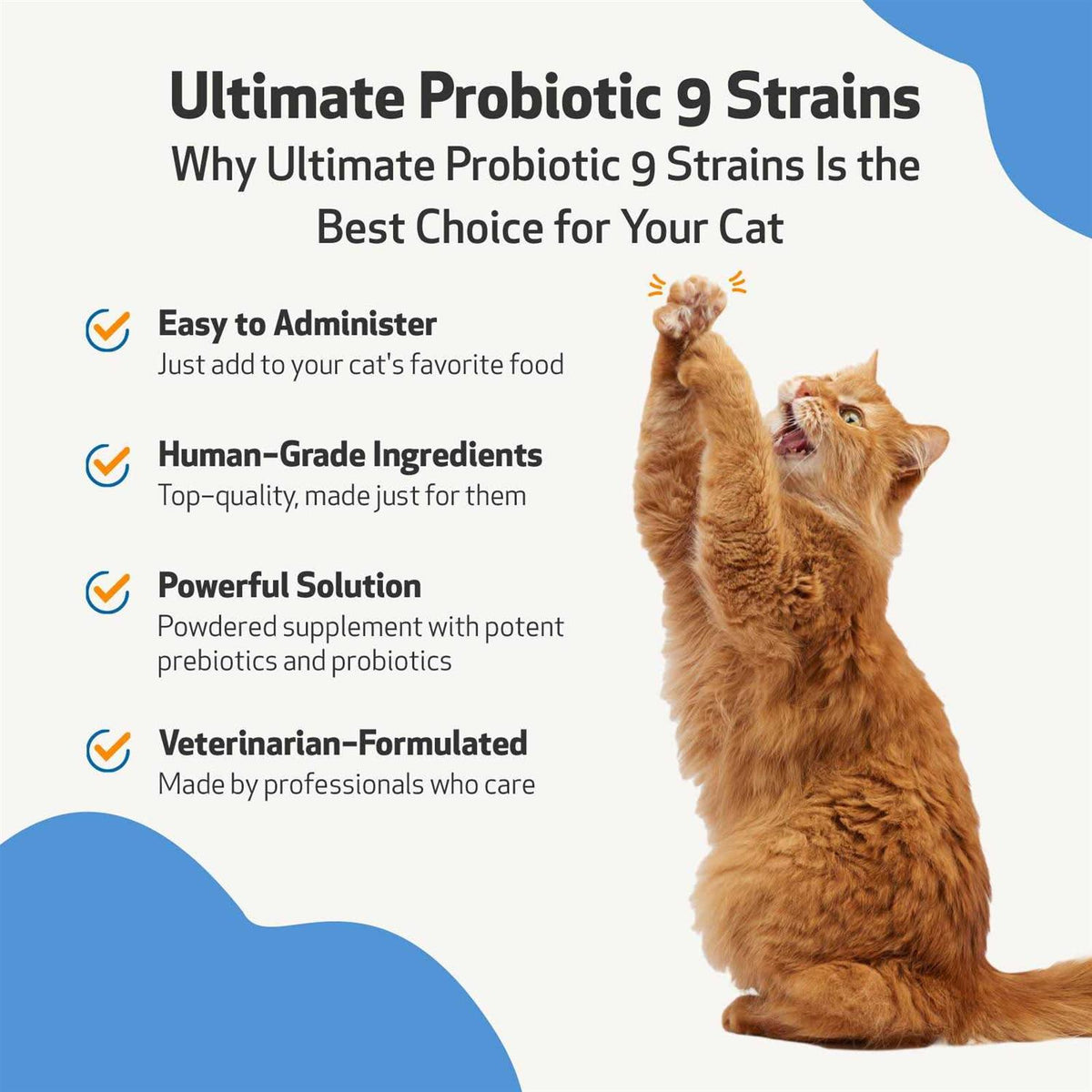 Probiotic 9 Strains for Dogs & Cats B293270