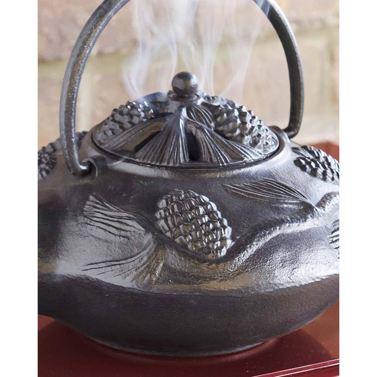 Black Cast Iron Wood Stove Kettle Steamer Y781