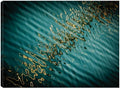 32x24 Fine Art Canvas Q358