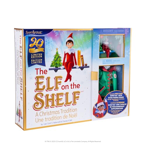 Boy with Blue Eyes Posable Christmas Elf and Storybook P803