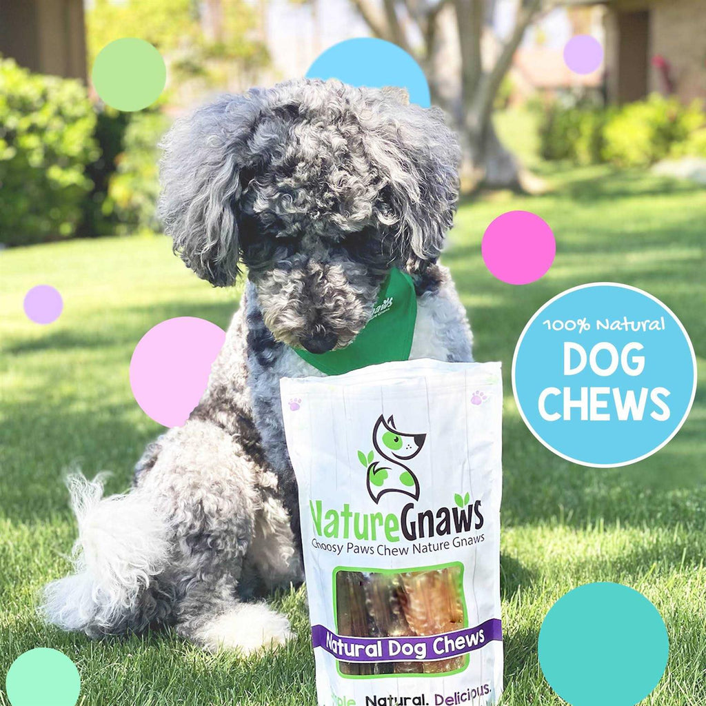 Natural Dog Chews Variety Pack P2179