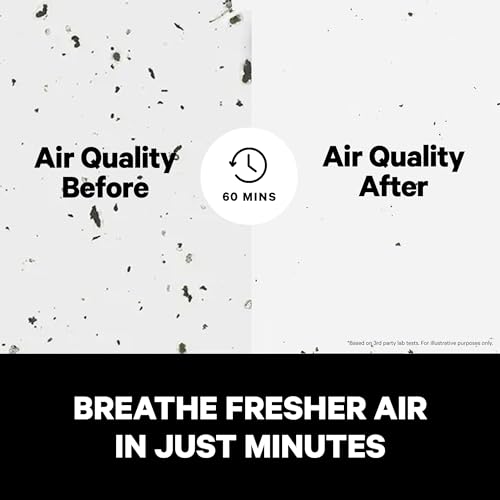 HEPA Air Purifiers for Home Large Rooms E4129