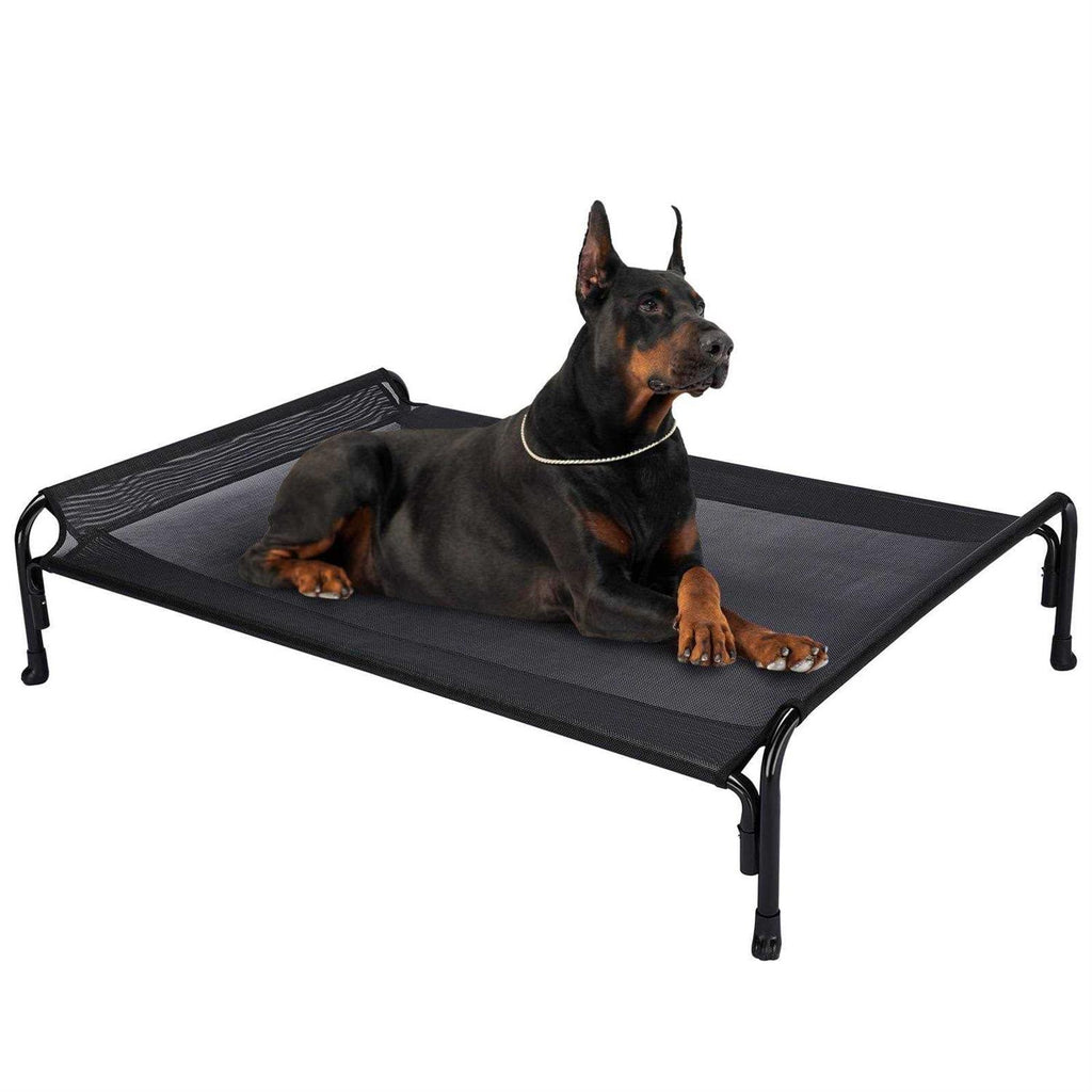 Elevated Dog Bed with Washable Mesh Z1979