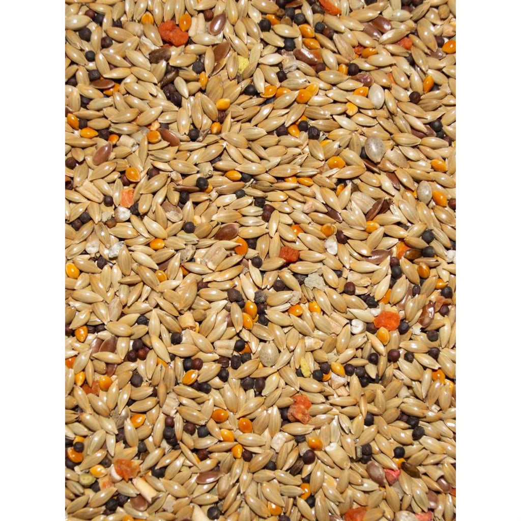 Canary Seed T6446