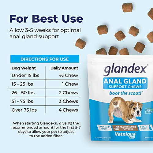 Peanut Butter Soft Chew Treats with Pumpkin for Dogs, 30ct W78653