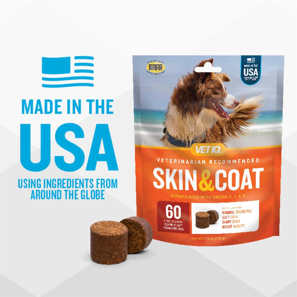 Skin & Coat Soft Chews D3593