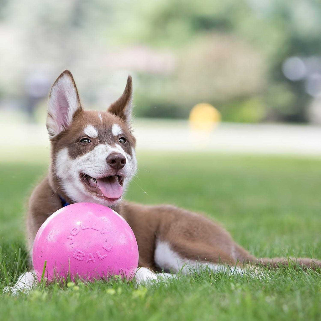 Pet Supplies M76658
