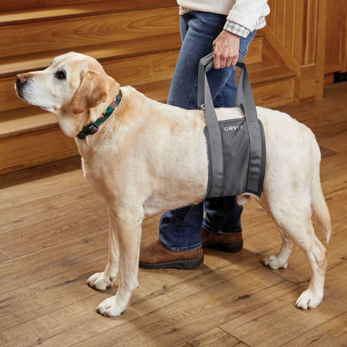 Gray Rear Dog Lift F292513