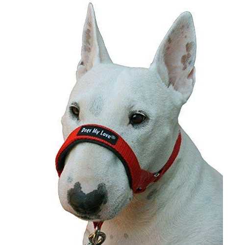 Dog Head Collar Halter Y327