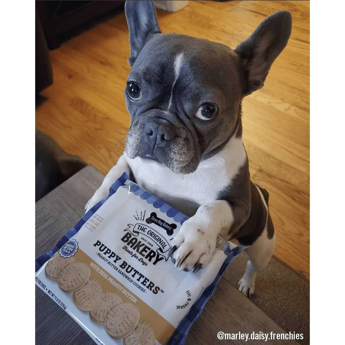 Peanut Butter Dog Treats O98376