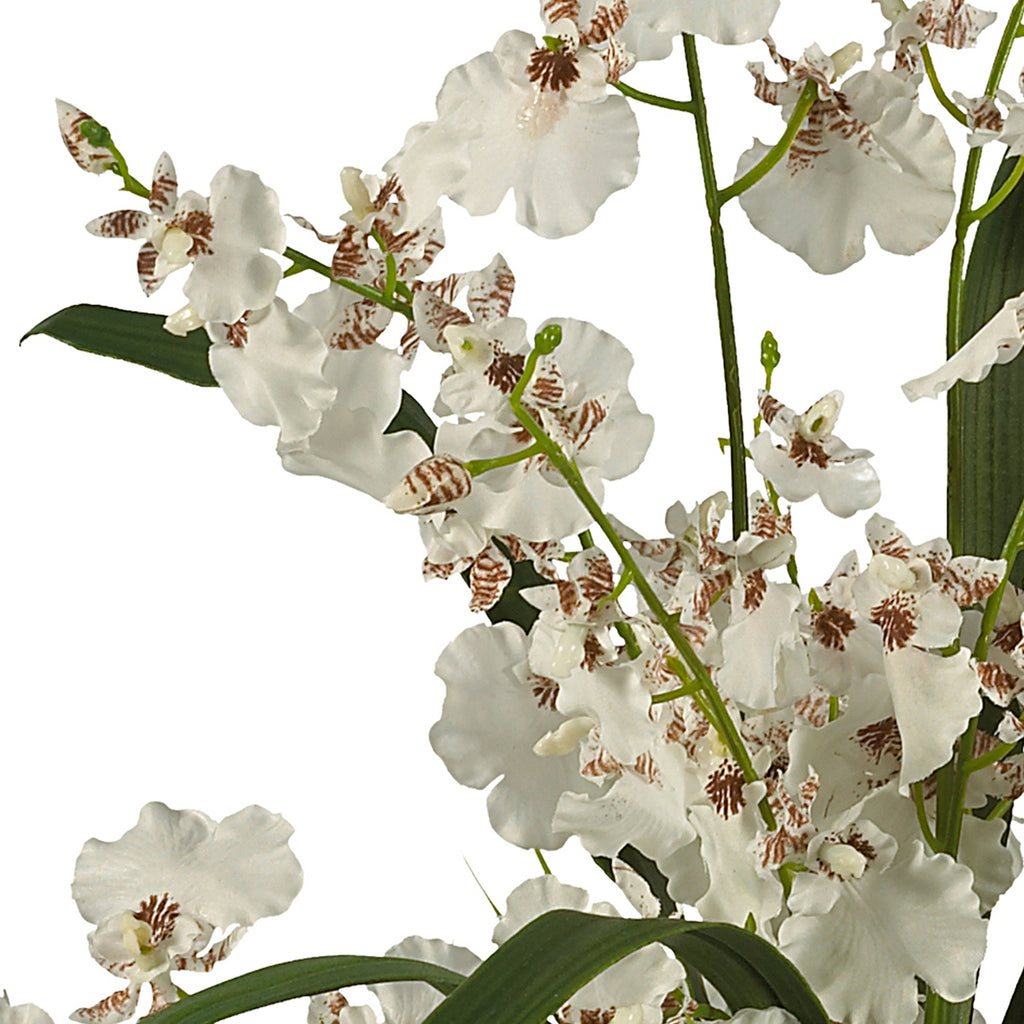Silk Flower Dancing Lady Orchid S642604