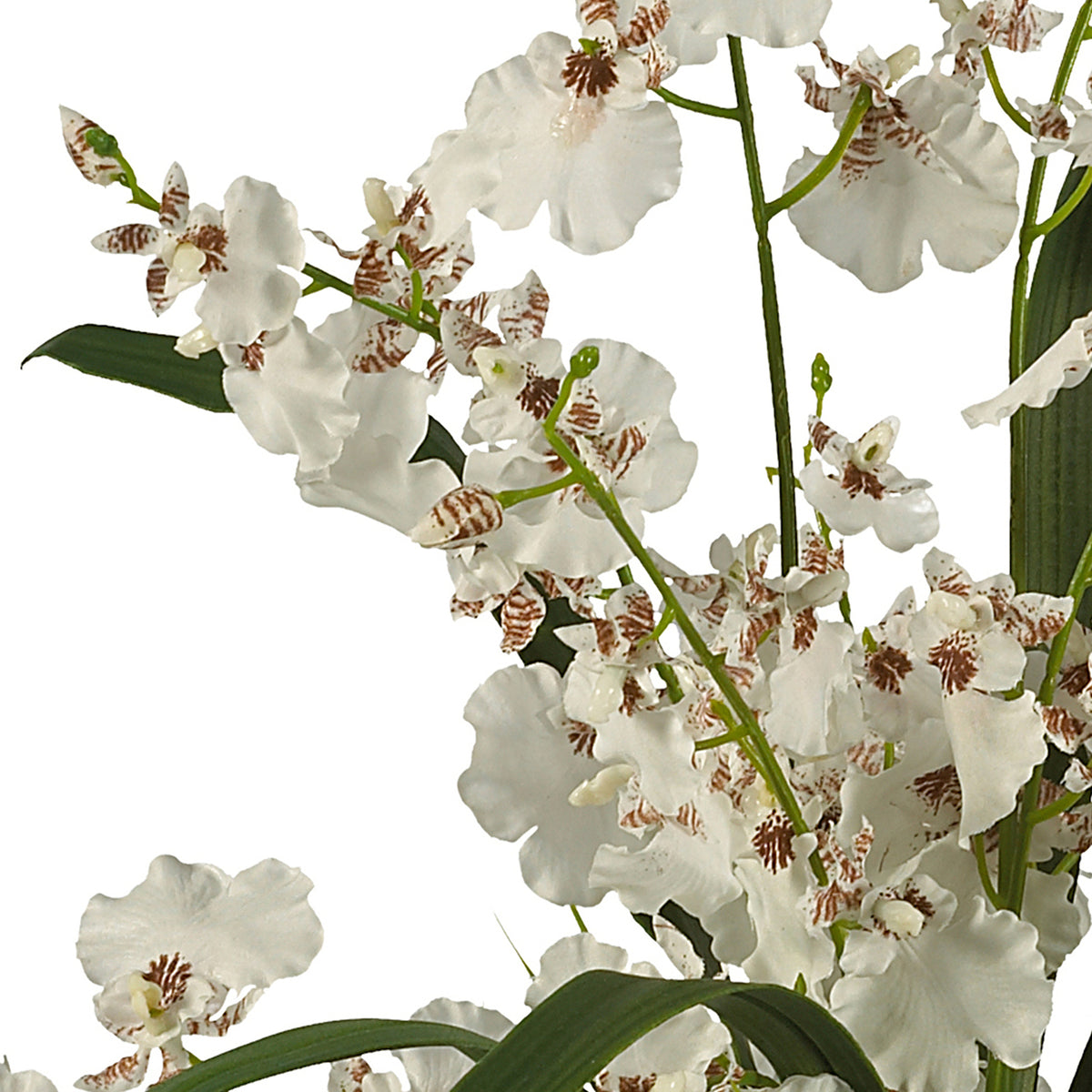 Silk Flower Dancing Lady Orchid S642604
