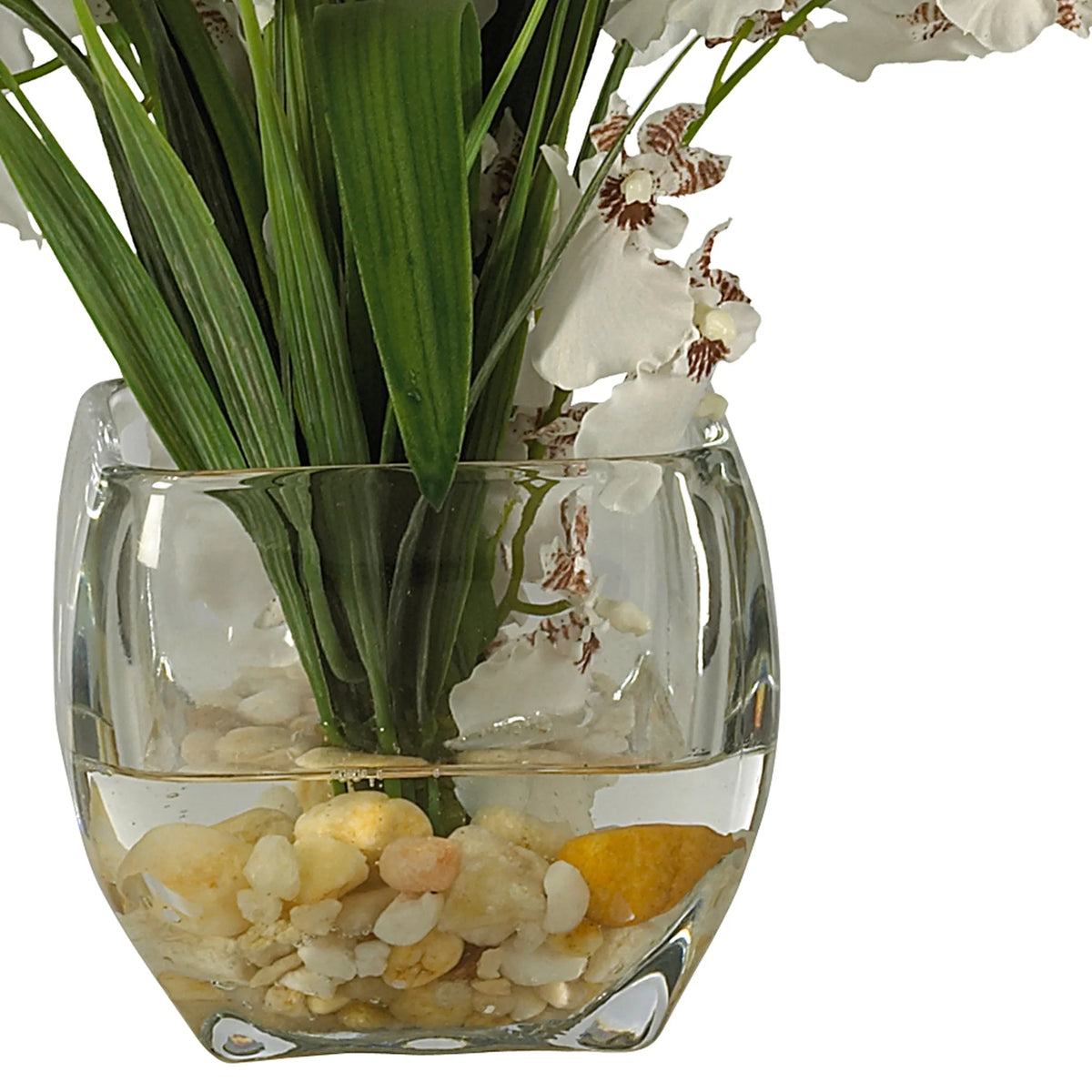 Silk Flower Dancing Lady Orchid S642604