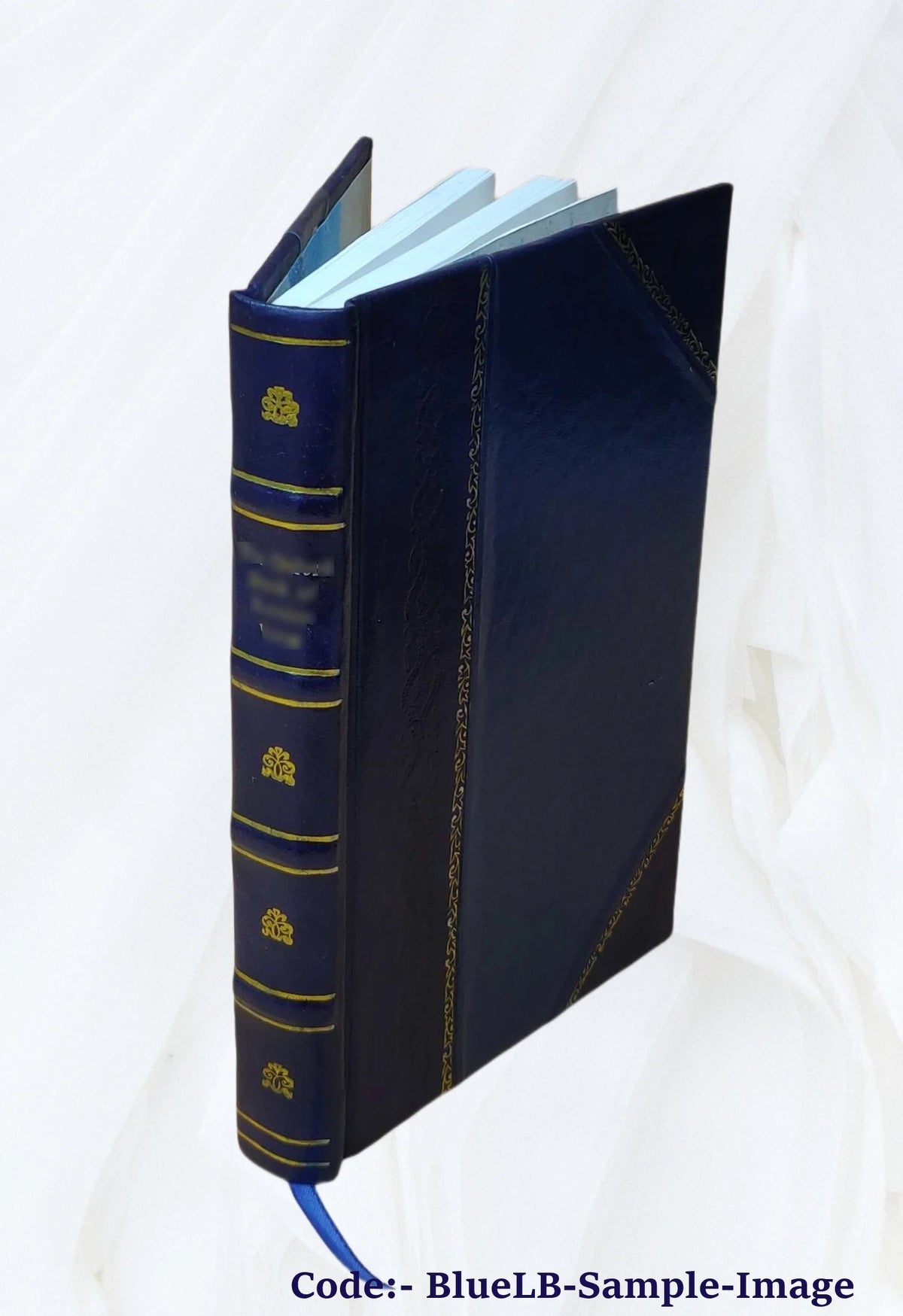 Leather Bound Book O17018