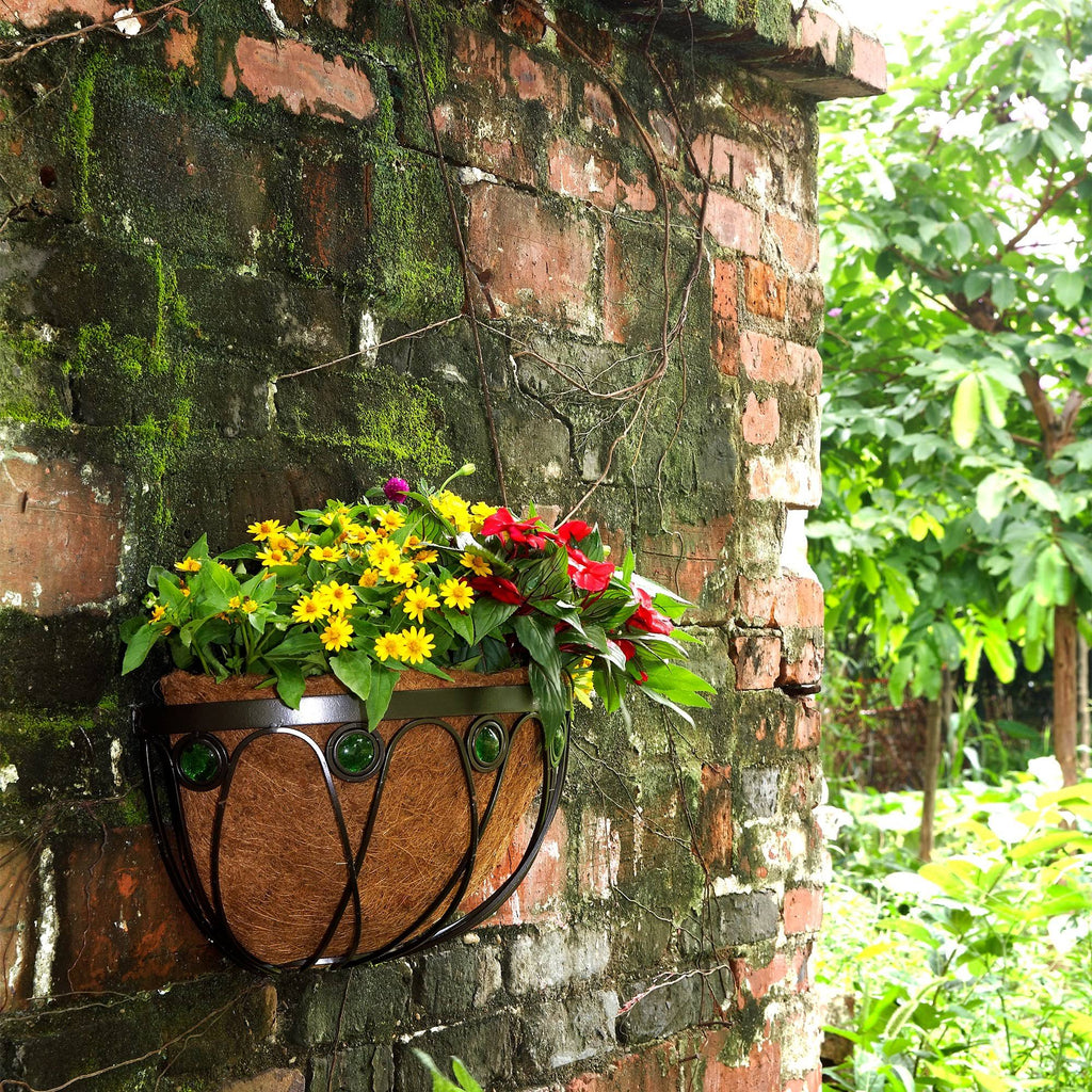 Wall Manger B537007