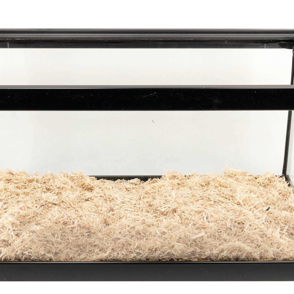 Aspen Snake Bedding Y166