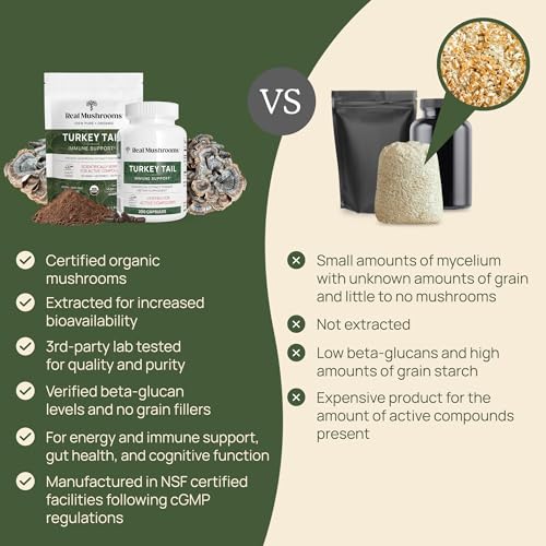 Organic Turkey Tail Mushroom Powder, 100 Servings K28952