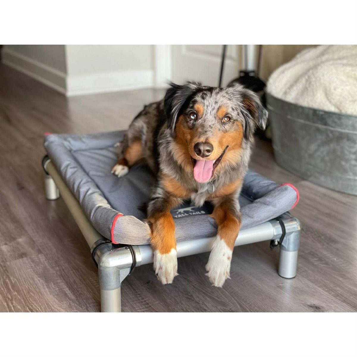 Dog Bed F882325